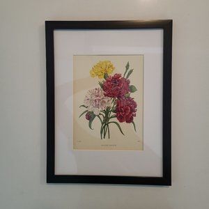 Beautiful Framed Vintage Flower Print